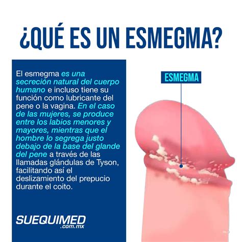 esmegma es malo|Esmegma